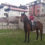 Pirina Club Отель 3*