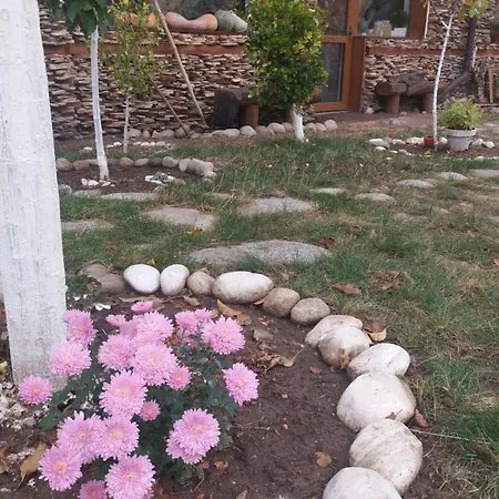 Pirina Club 酒店 3*