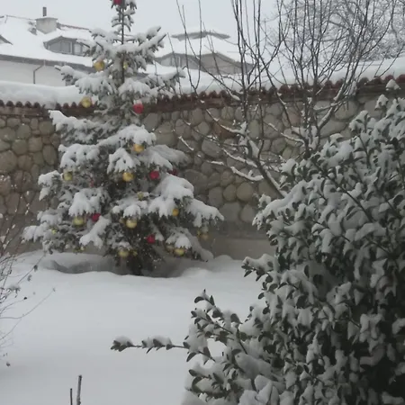 Pirina Club 班斯科