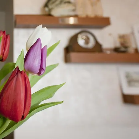 Pirina Club 酒店 班斯科