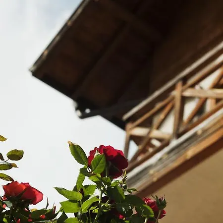 Pirina Club Hotel Bansko