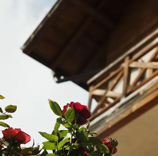 Pirina Club Szálloda Banszko